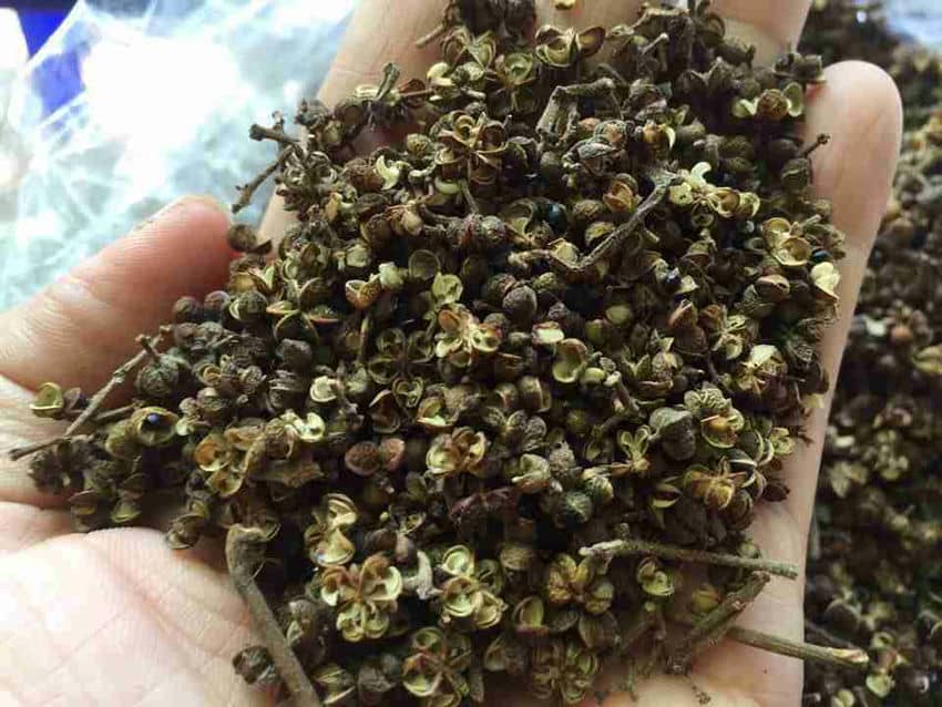 marche-ethnique-hoang-su-phi