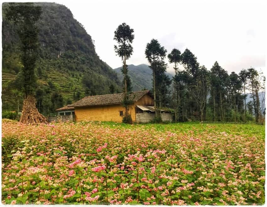 tour-du-lich-hanoi-ha-giang-dong-van-meo-vac