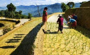 Hoang Su Phi - The season of pouring water